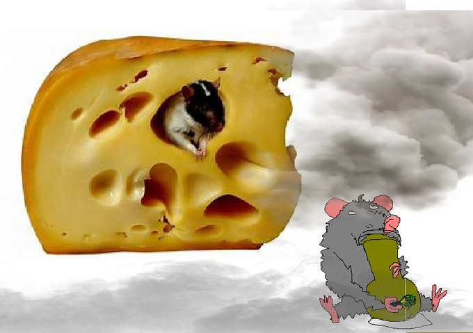 Mice hotboxing the cheese