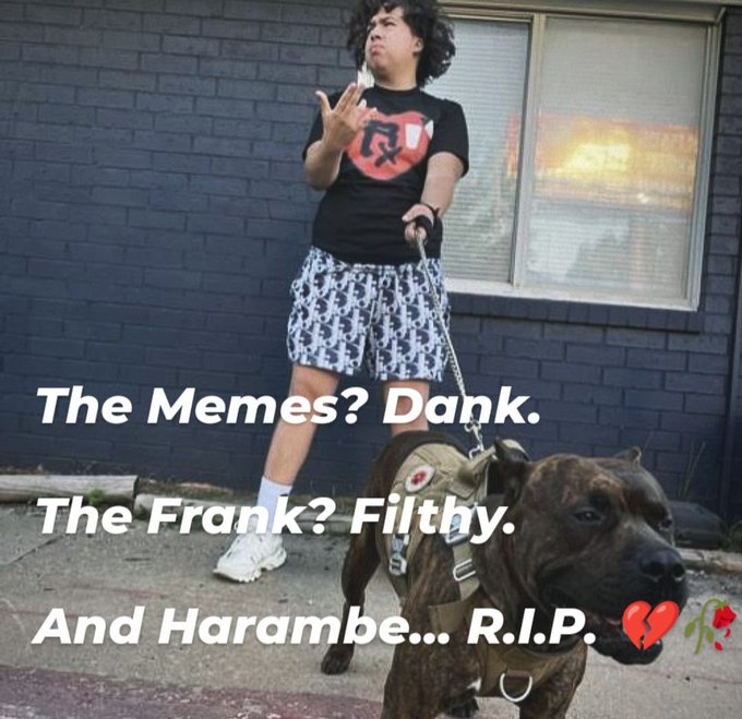 65000 Meme of the Day